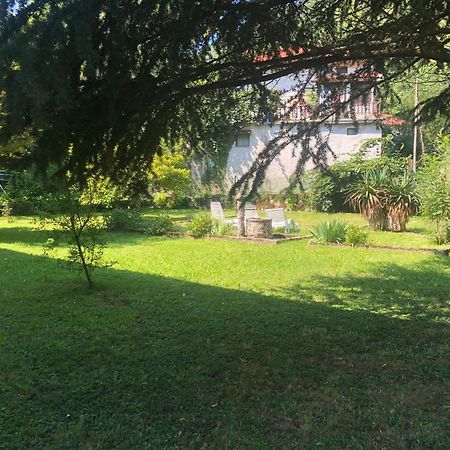 Vila Labod, Unique Villa At The Lake Мост-на-Соки Экстерьер фото